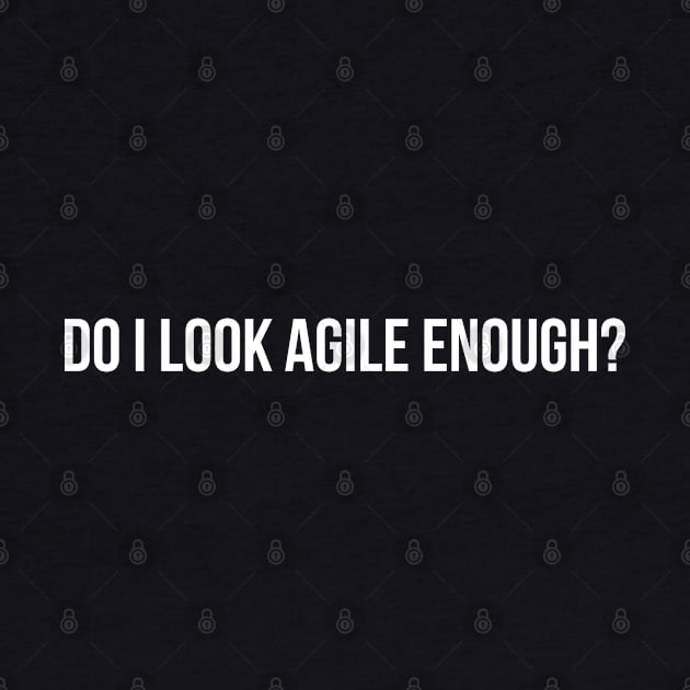 Developer Do I Look Agile Enough by thedevtee